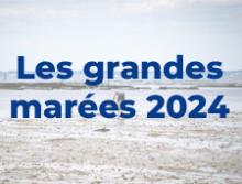 Les grandes marées 2024 | Boat-Pièce.fr